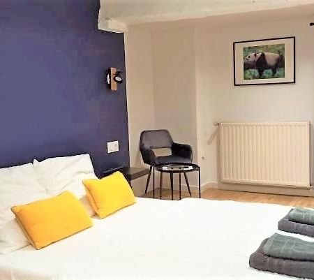 A 4 Min Du Zoo De Beauval La Maison A Partager Ch2 1Er Etage Saint-Aignan  Luaran gambar
