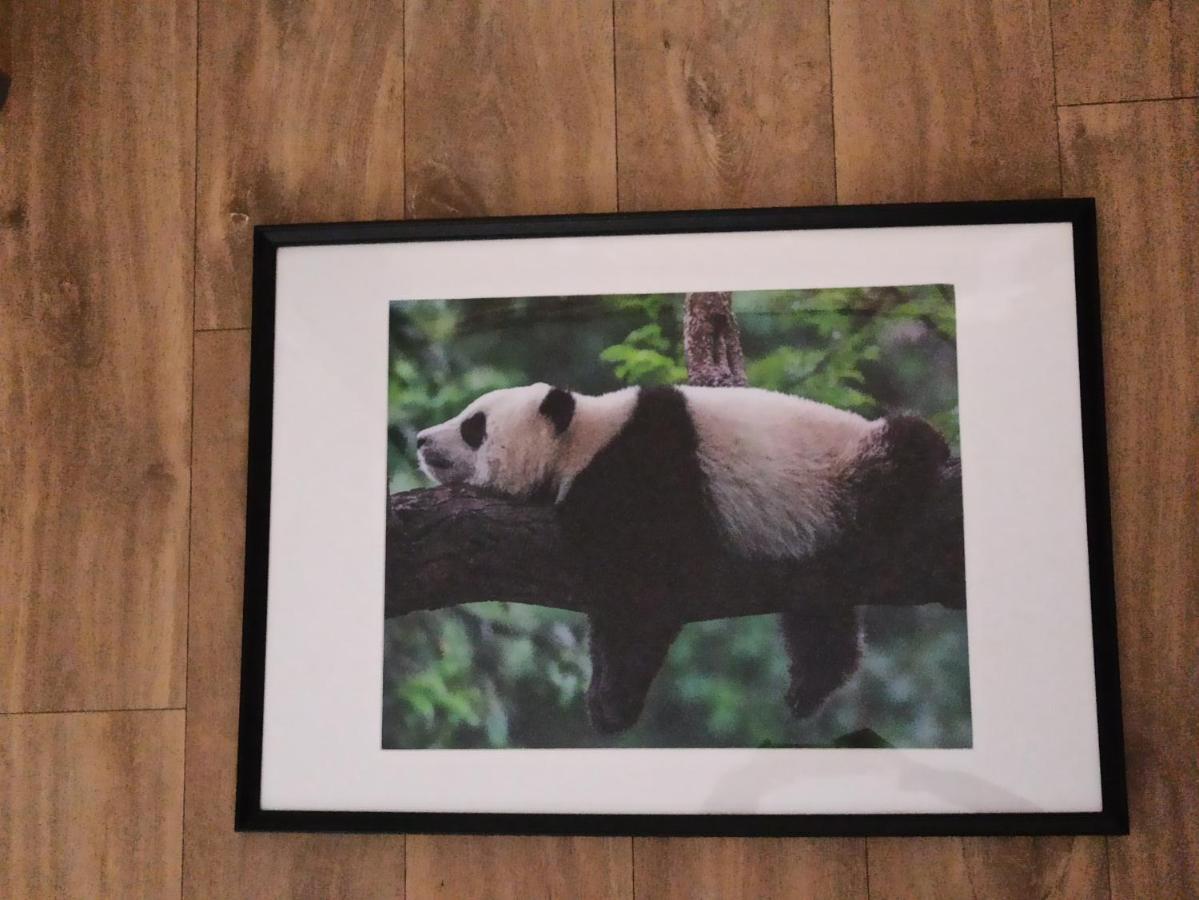 A 4 Min Du Zoo De Beauval La Maison A Partager Ch2 1Er Etage Saint-Aignan  Luaran gambar