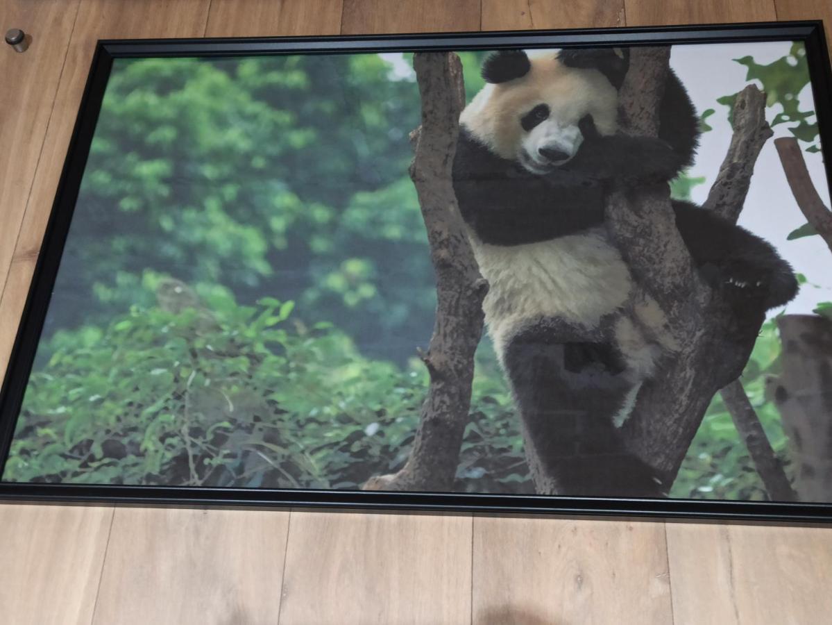 A 4 Min Du Zoo De Beauval La Maison A Partager Ch2 1Er Etage Saint-Aignan  Luaran gambar